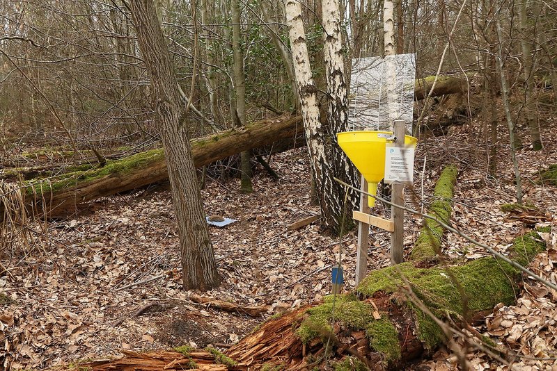 Kit de pièges dans la forêt